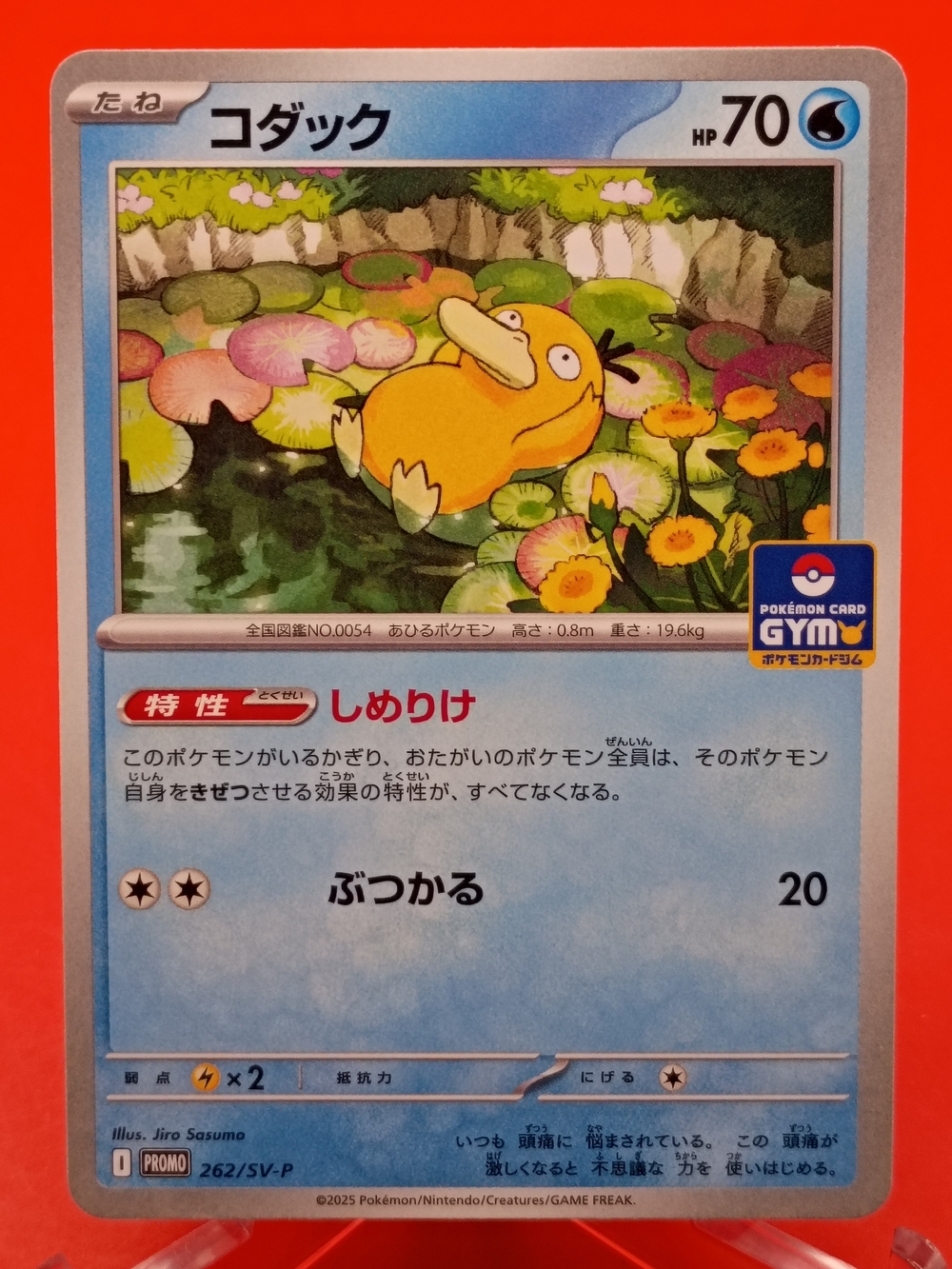 Psyduck 262/SV-P Pokemon Gym Promo Near Mint Japanese TCG